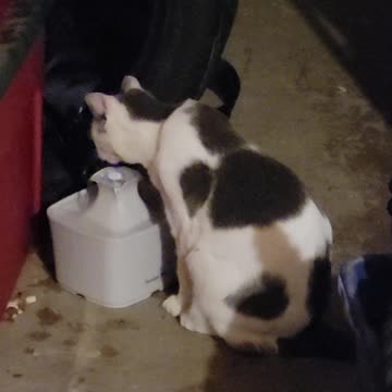 Water fountain for the playground