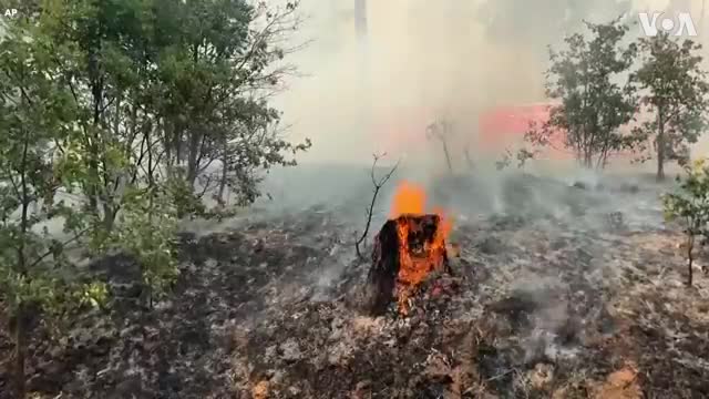 California Wildfire Out of Control Near Yosemite National Park