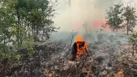 California Wildfire Out of Control Near Yosemite National Park