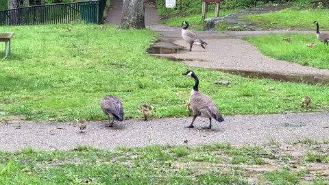 Lunch with the kids