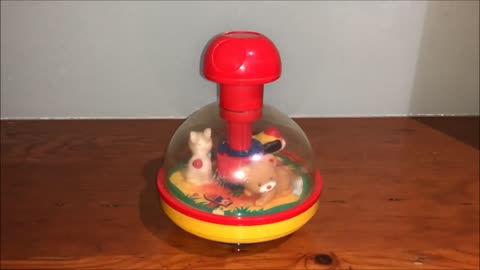 Spin Carousel Toy