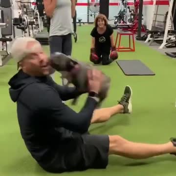 I would go to gym every day if I had this frenchie puppy