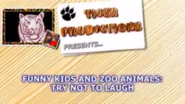 FORGET CATS Funny look at the zoo they are also funny animals.