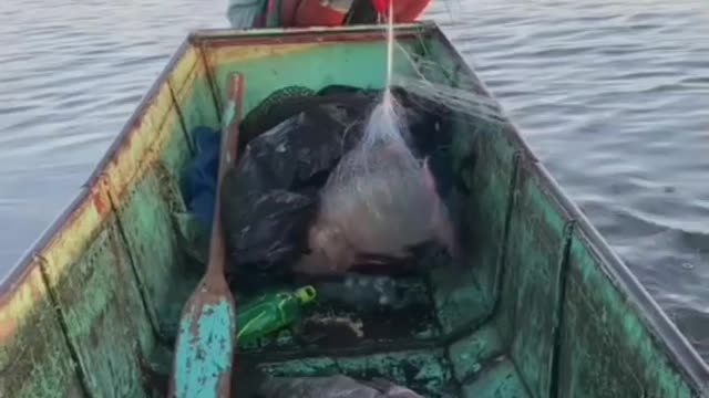 Fishing to get unique and expensive fish species