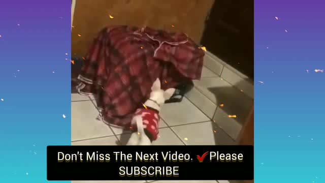 This The Funniest Dog Dance 2021