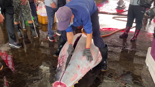 Super huge bluefin tuna cutting skills(5)