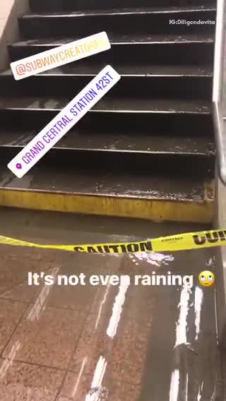 Its not even raining water down stairs