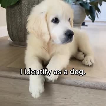 He's just a baby 😅