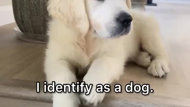 He's just a baby 😅