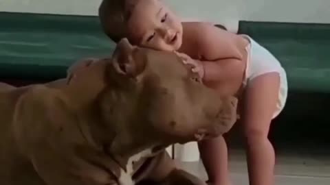 Cute Baby And A Doggo #puppies #baby
