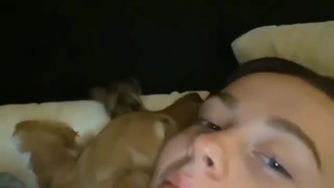 The moment the dog found his forever home😍🥰🥺😽
