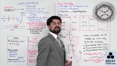 LEC#11 DNA (PART-2)