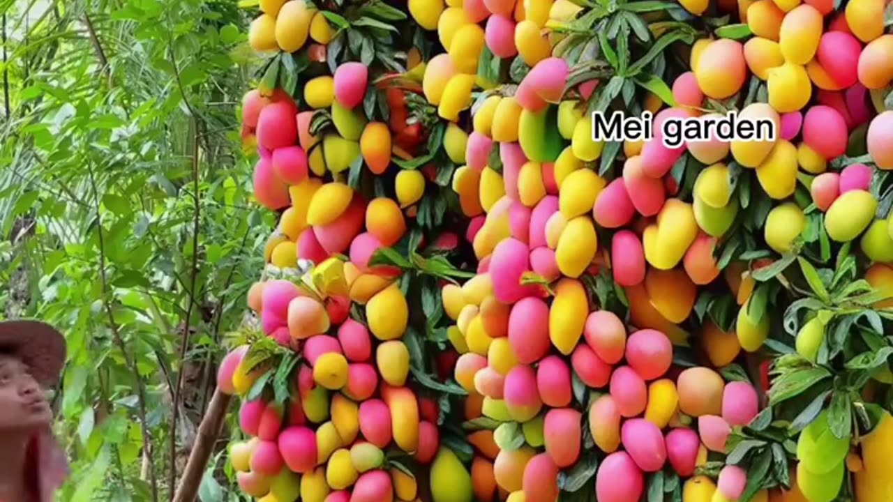 Mango ðŸ¥