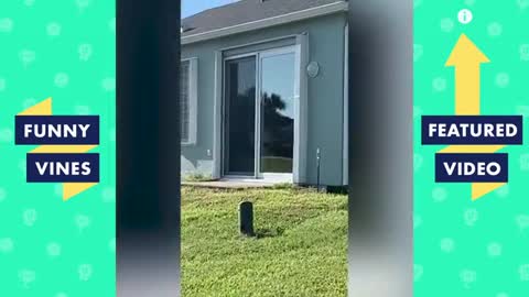 karen's freakouts