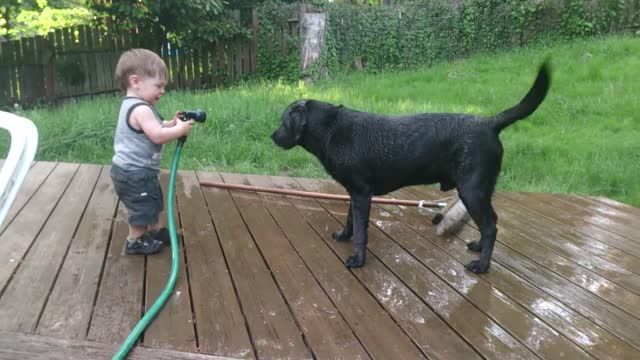 Best Friends - Russell and Cooper - Baby Laughing - Dog Bath🐶👶🏻🐱🐶👶🏻🐱👶👶