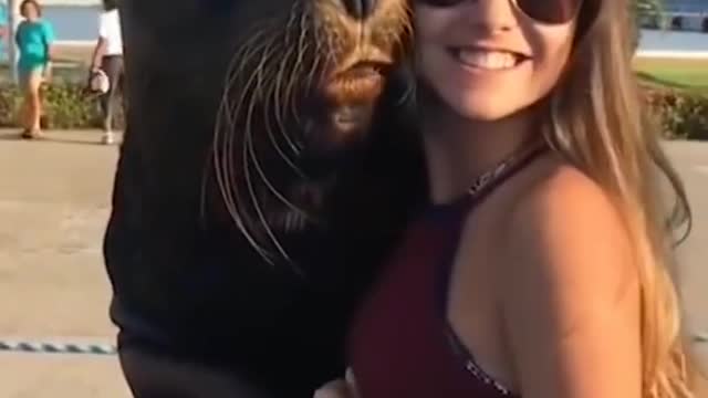 best glowing up animal videos#animals,selfie,girl