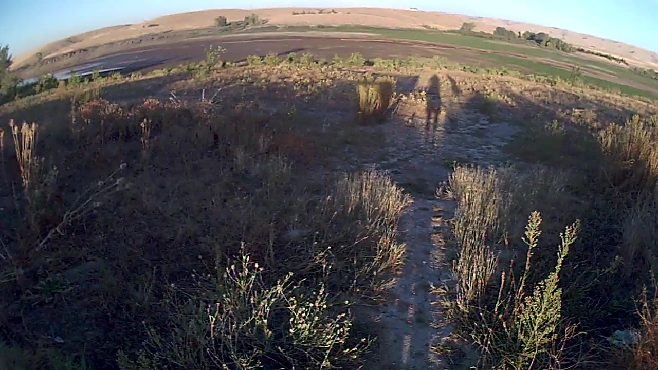 September 2024 Goose Survey