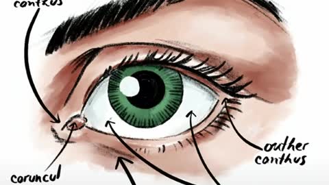 drawing an eye