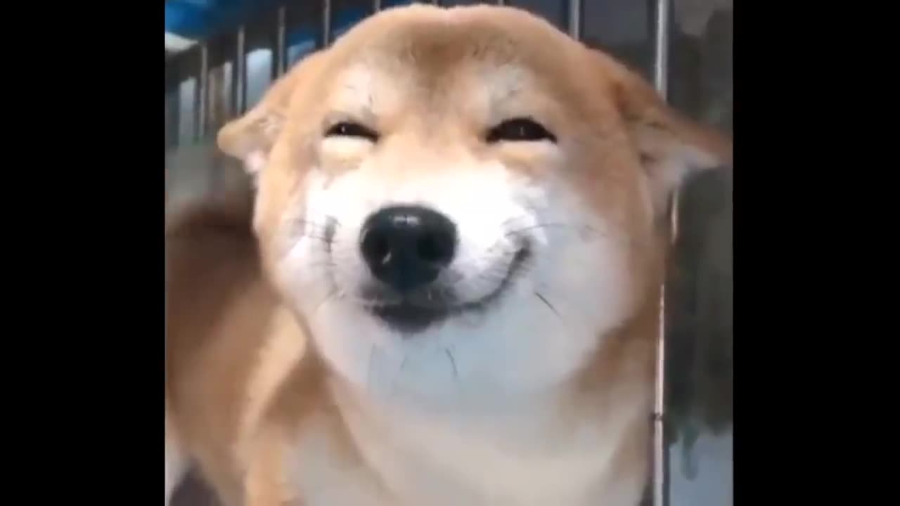 When they call you a good boy