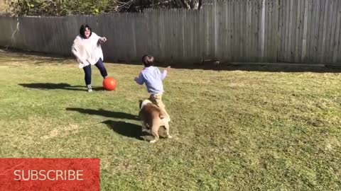 Try not to laugh FUNNY BABIES AND PETS VIDEOS COMPILATION