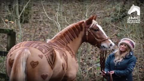 These magnificent horses, have something original in their appearance.