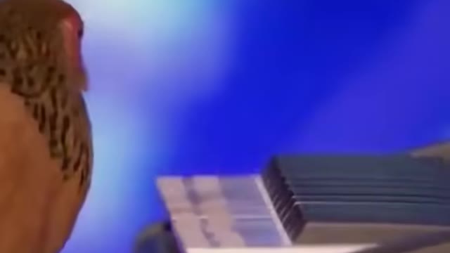 she is so talented more than people i know