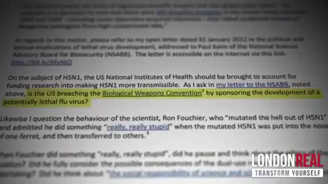 Who profits from the Covid-19?