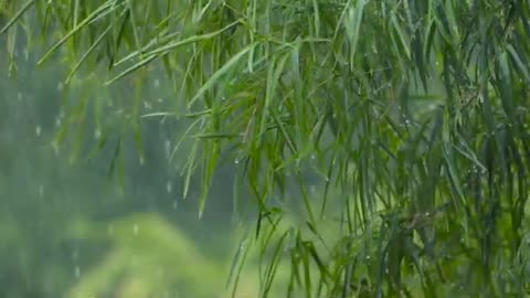 Heavy Rain and thunder sound for Relaxing Sleep