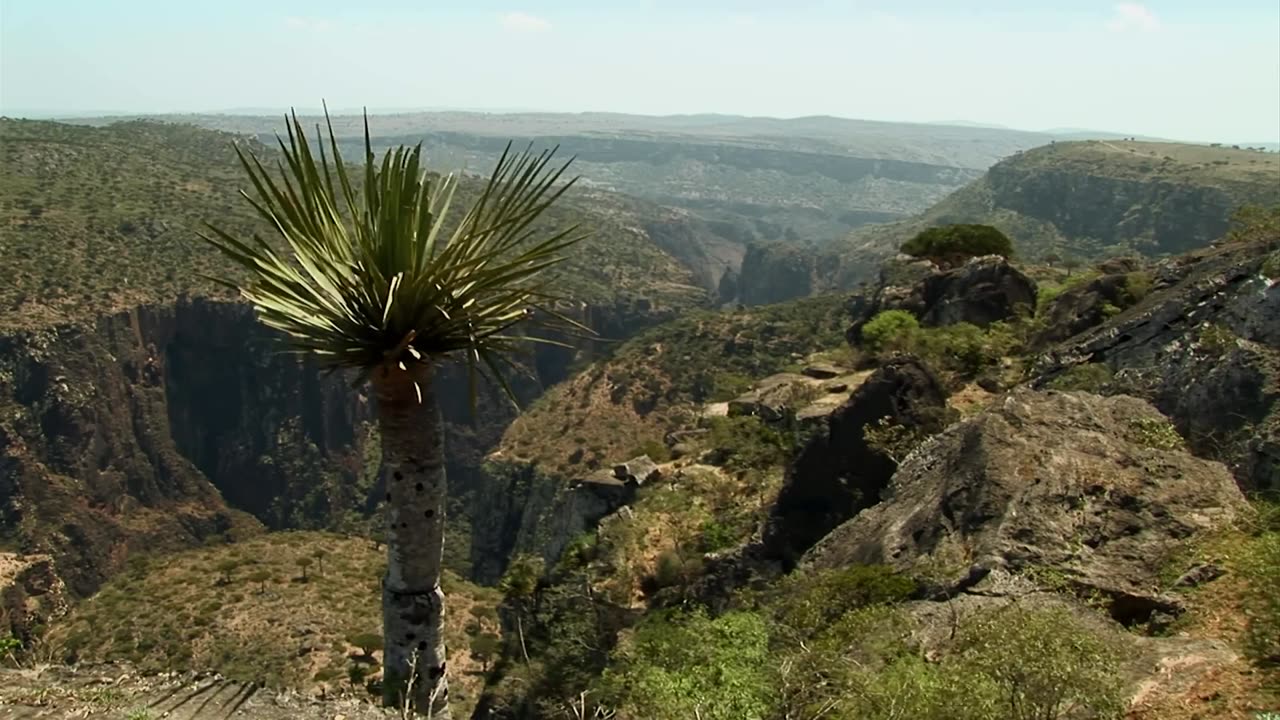 Yemen: The Natural Beauty Of The Most Dangerous Country | 4K Documentary | Miracles Of Nature