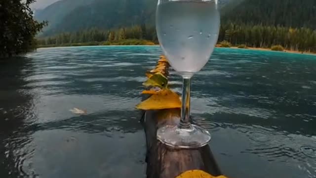 Peaceful moment on this log during a rainstorm in alaska