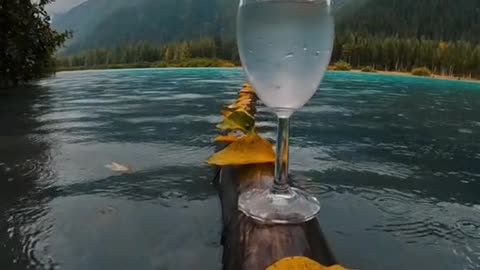 Peaceful moment on this log during a rainstorm in alaska