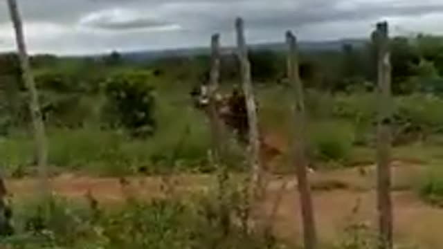 Velozes e furiosos na roça