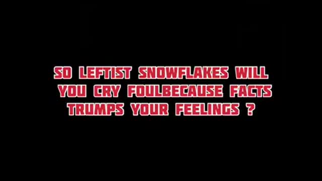 Quid pro quo Beijing owned joe admits to voter fraud