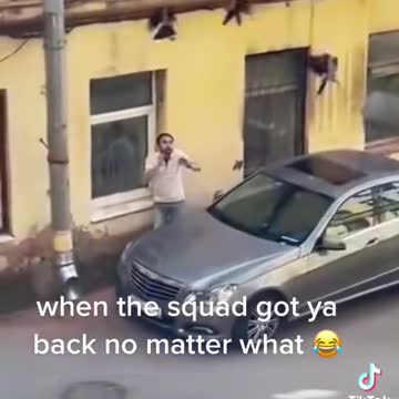 Bird gand dont play that ishhh with them | epic fun