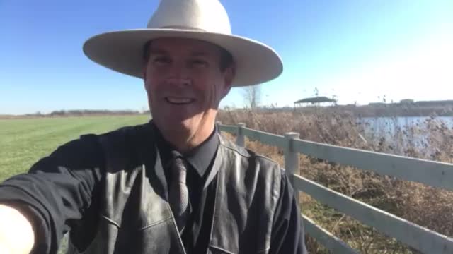 The Worth of Family Gatherings