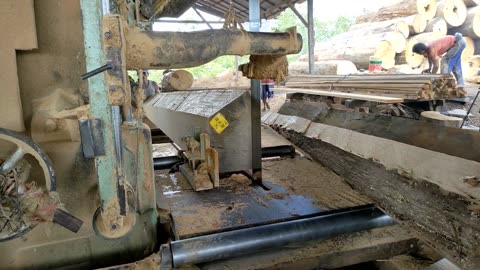 Processing Of Hard Bengkirai Wood