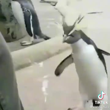 papier toaletowy ;-)