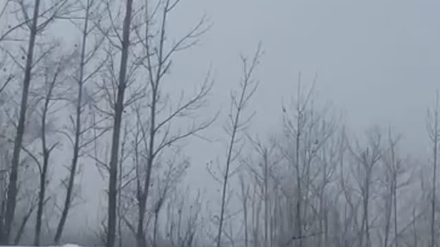 SNOW 🌨️ IN KASHMIR