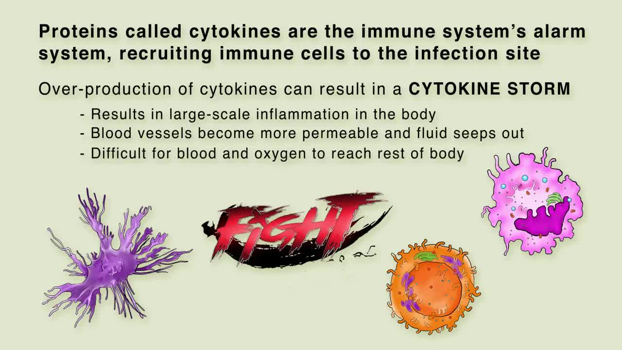 How Covid19 Affects the body