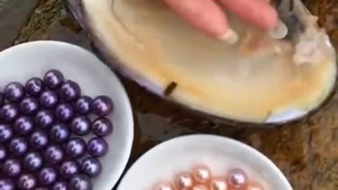 Best satisfying video ever .... read the description