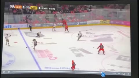 Former NHL player dies after ‘freak accident’ in English hockey league game