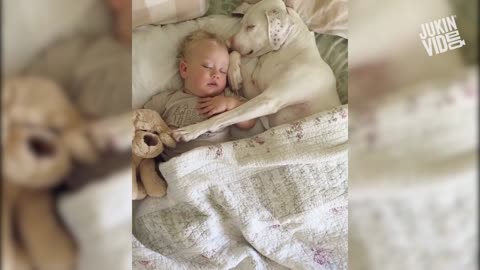 CUTE Baby with cute dog