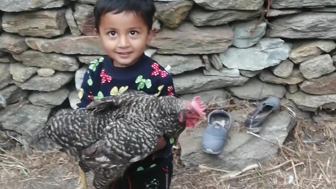 Murgi Chor || Poultry composition || NEW video 2023 opesh singh thakur