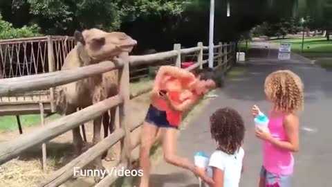 Funny girl Fails