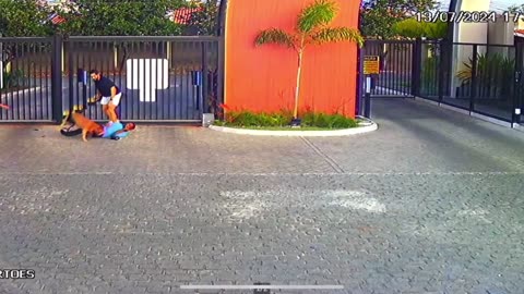 Ataque de pitbull em Feira de Santana