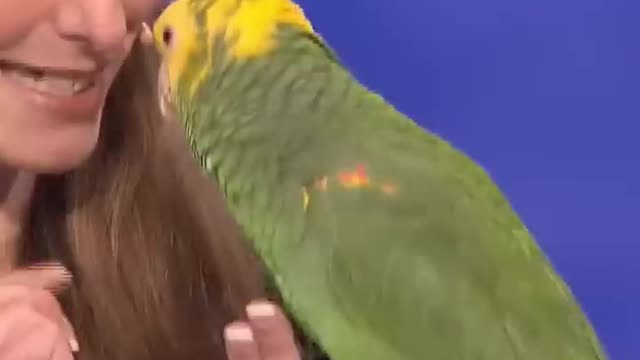 Trending | Echo the bird is a hillarious birdie!