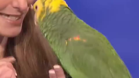 Trending | Echo the bird is a hillarious birdie!