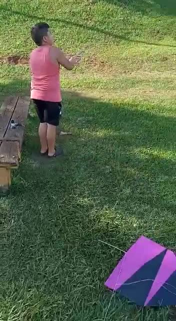 flying kites only party