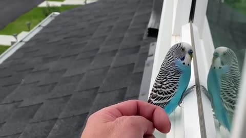 He just wanted to see what’s up 🐦⁠