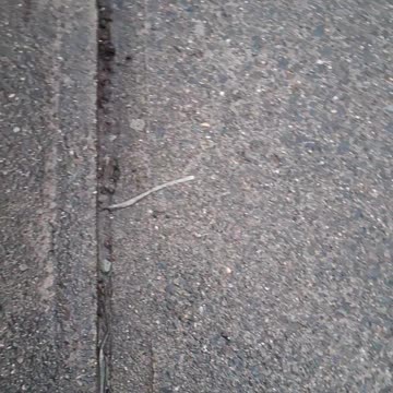 Whilst waking! Hahahahahaha!